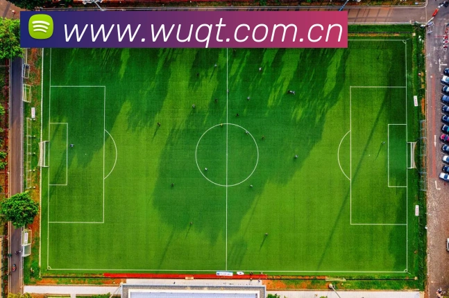 mk体育官网中国官方网平台生态图