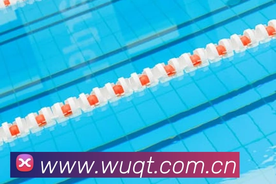 mk体育官网中国官方网APP 封面图